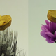 Illustration for article titled Gold Aerogel is Light Enough To Float on Cappuccino Foam